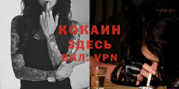 бошки Лагань
