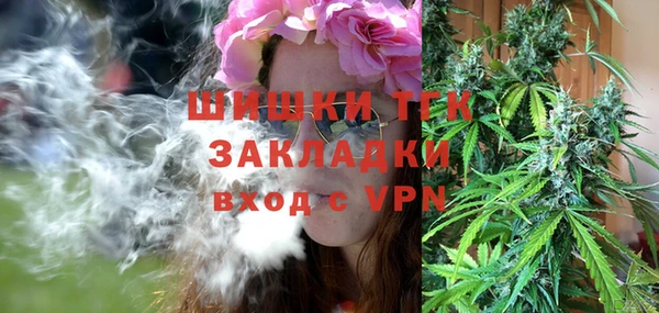 бошки Лагань