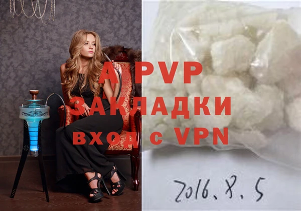 PSILOCYBIN Лихославль