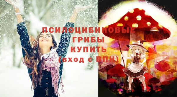 кокс Лабытнанги